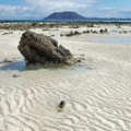 Fuerteventura